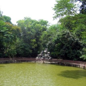 bang-ta-nature-forest